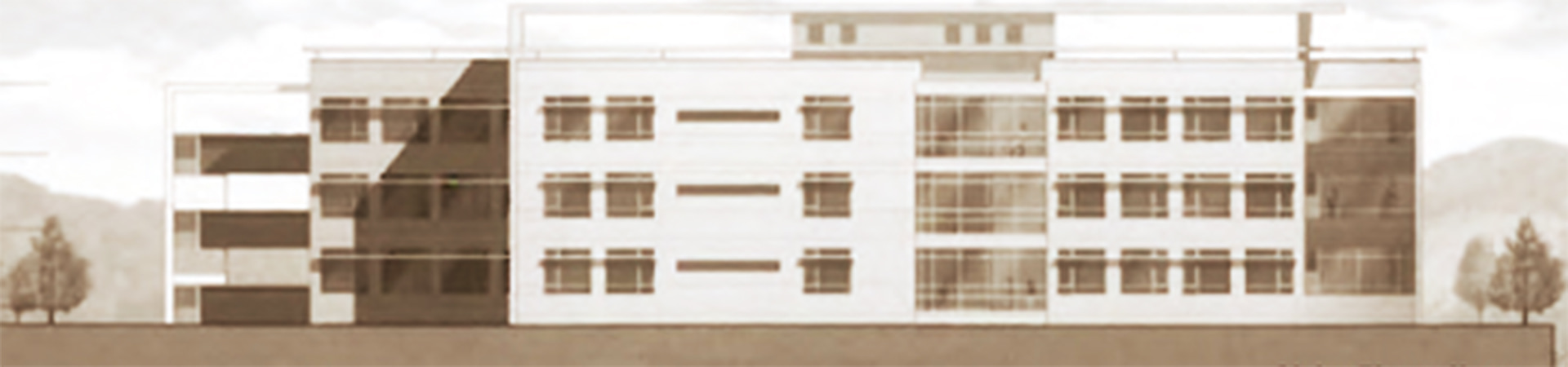 Maternity Bin Zayed Al Nahyan Foundation